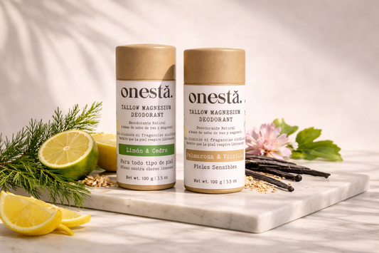 El Regreso a lo Esencial