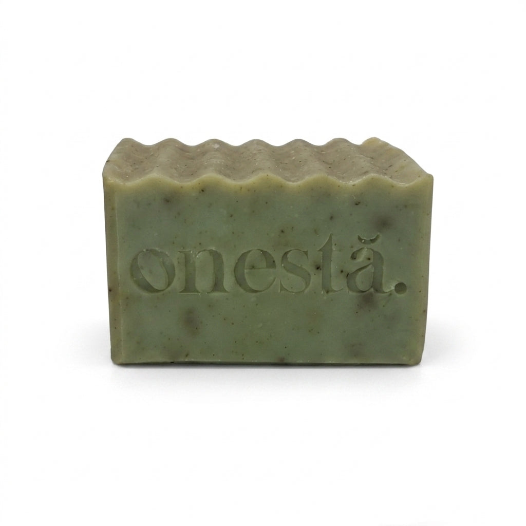 Shampoo Bar | Romero + Moringa